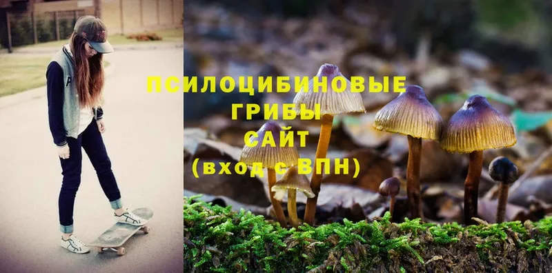 Галлюциногенные грибы Magic Shrooms  Аргун 